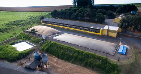 Itaipu e Copel desenvolvem projeto inédito no oeste do Paraná