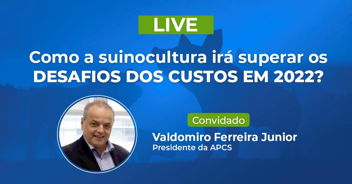 Como a suinocultura irá superar os desafios dos custos de produção em 2022 Como a suinocultura irá superar os desafios dos custos de produção em 2022