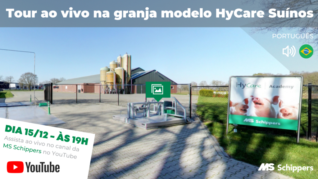 É AMANHÃ: a live que vai fechar o ano: tour ao vivo na granja modelo HyCare de Suínos!