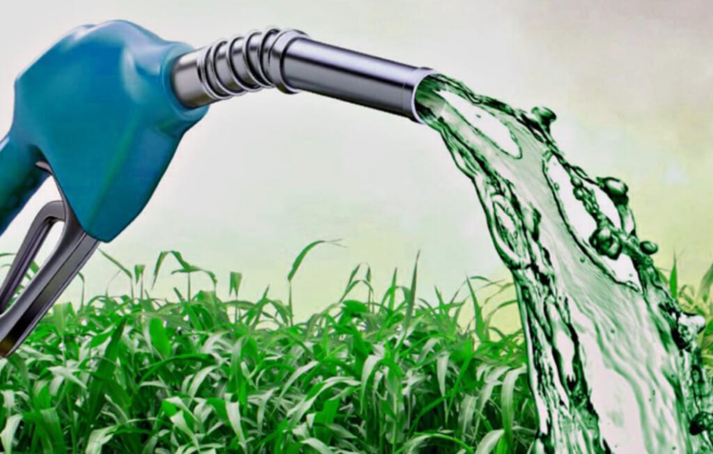 Novas culturas impulsionam a diversificação da produção de biocombustíveis no Brasil