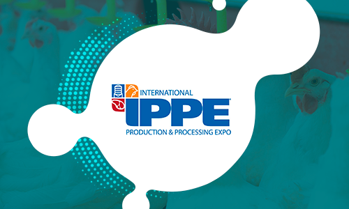 BTA participa do IPPE, evento que apresenta tendências no agronegócio