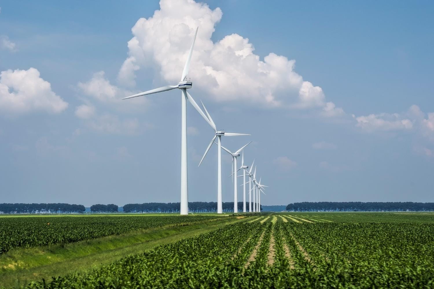 Energia eólica é a principal fonte de eletricidade pela primeira vez no Reino Unido