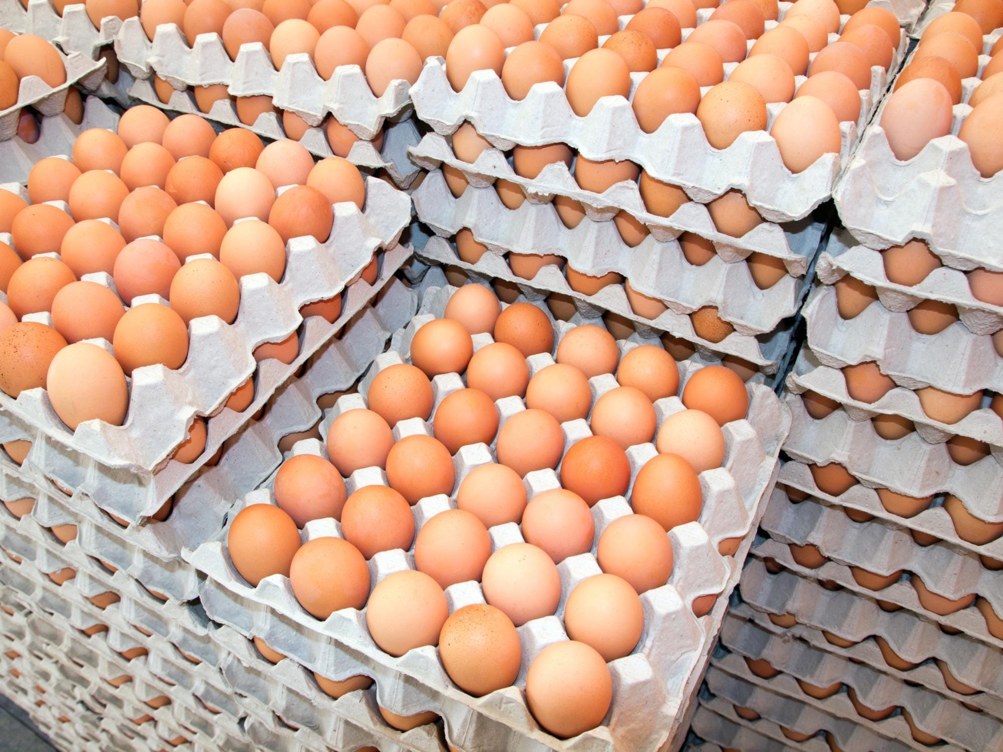 Produção brasileira de ovos crescerá 5% em 2021, com alta de 9,1% em 2020