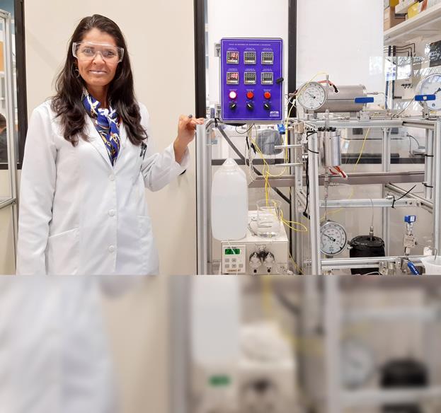 Equidade de gênero no setor de energia requer compromisso da alta gestão