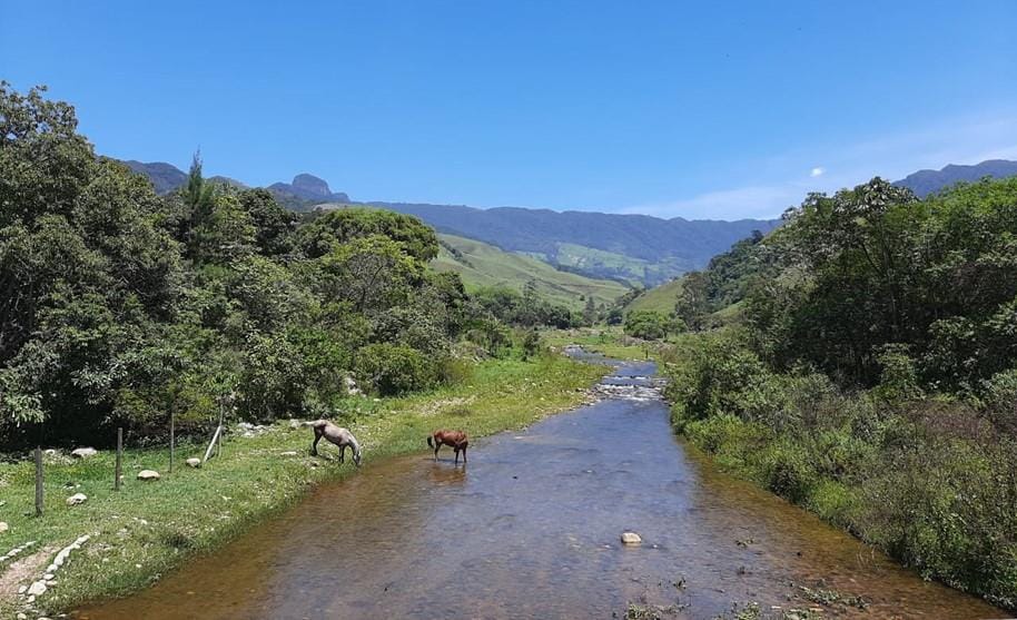 Nenhuma gota a menos: como a BASF aumentou em 43% o reaproveitamento do uso da água na América do Sul em um ano