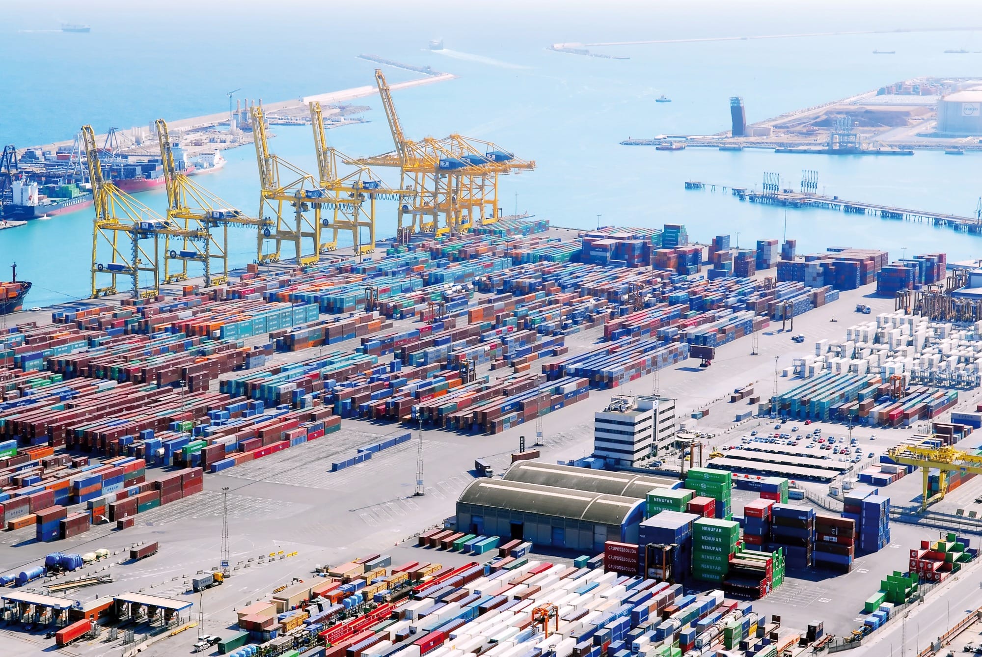 China responde por 79% das exportações de carne suína do porto de Valência