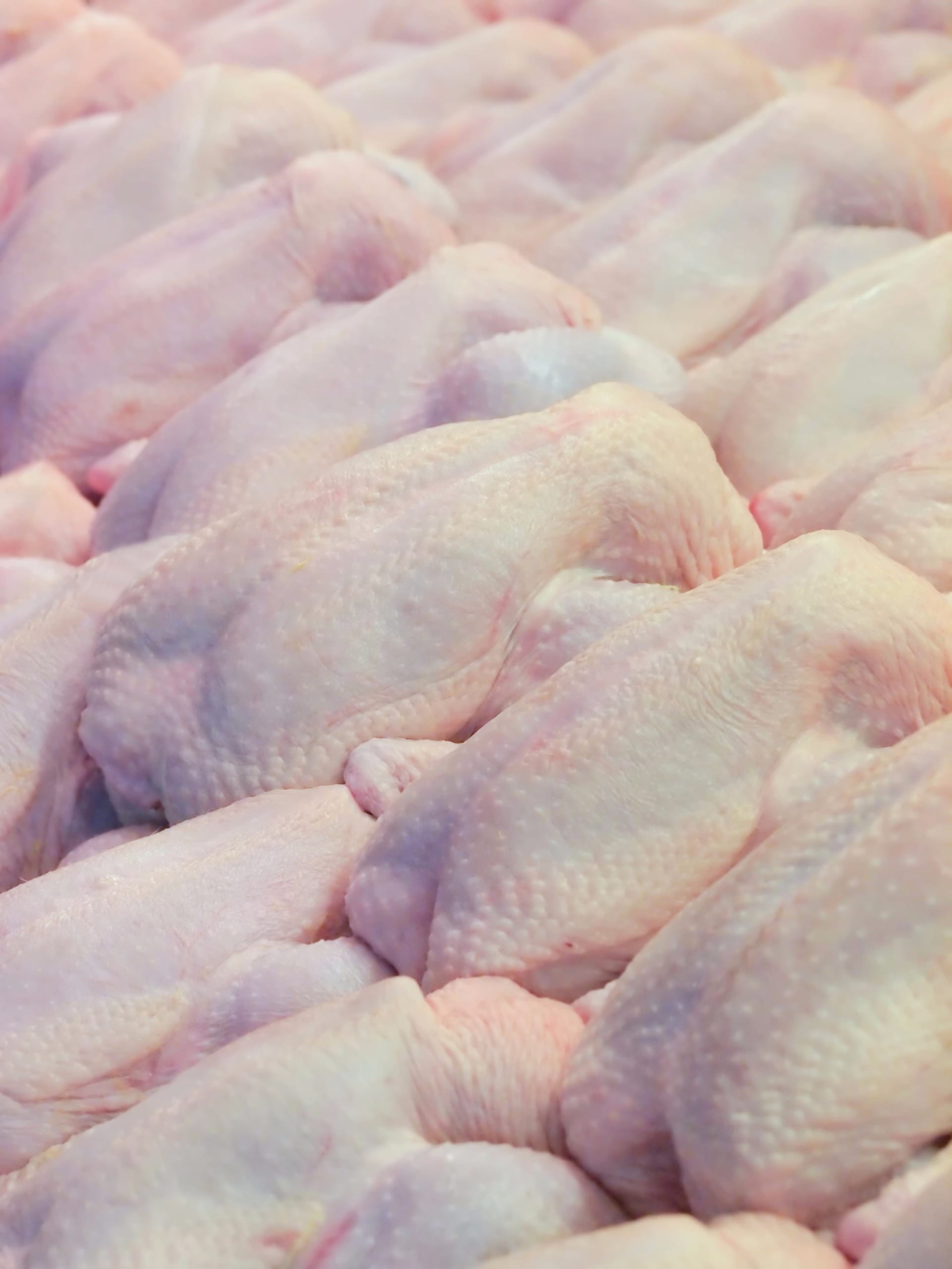 Tyson foods recolhe 31 quilos de tiras de frango congelado contaminadas com peças de metal