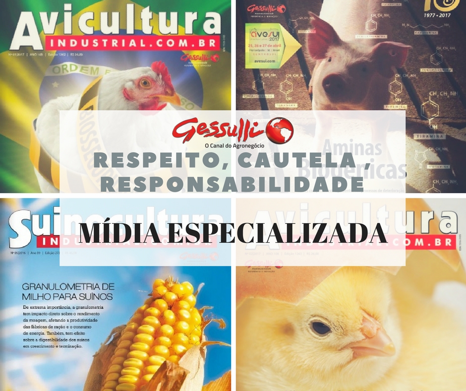 Mídia especializada oferece informação com credibilidade e propicia um debate responsável à sociedade