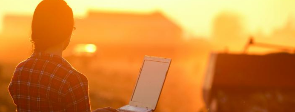 Gestão Enfoco: Uso de tecnologias Vs. mão de obra no campo