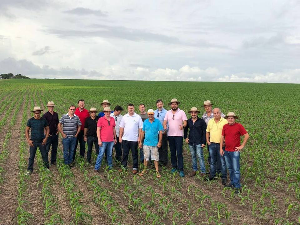 Produtores do ES otimistas com a próxima safra de milho do MT