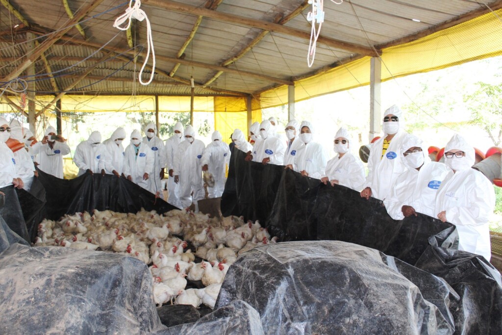 Bahia treina médicos veterinários no atendimento a emergência sanitária para doenças em aves