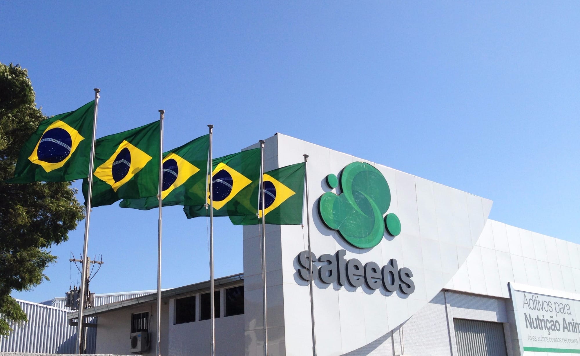 Ministério da Agricultura certifica Safeeds como empresa livre de Ractopamina