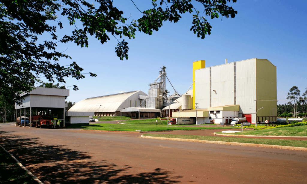 Swift e Seara aumentam o consumo de energia limpa com nova usina solar de Saltinho (SP)