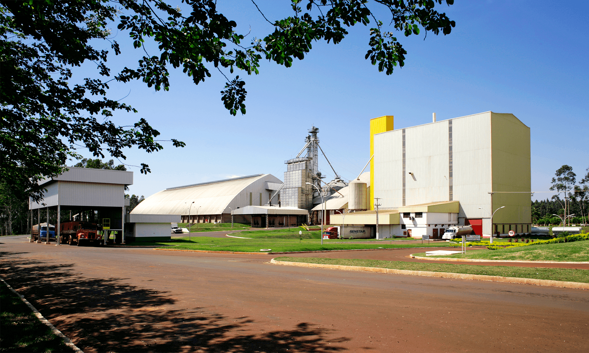 Seara avalia aquisição de frigoríficos da Languiru