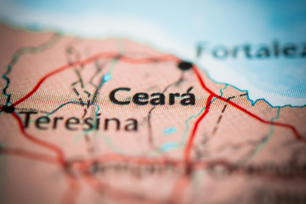 Ceará espera por mais insumos para ampliar produção avícola