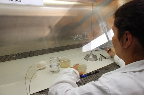 Laboratório da Embrapa é acreditado por mais dois anos