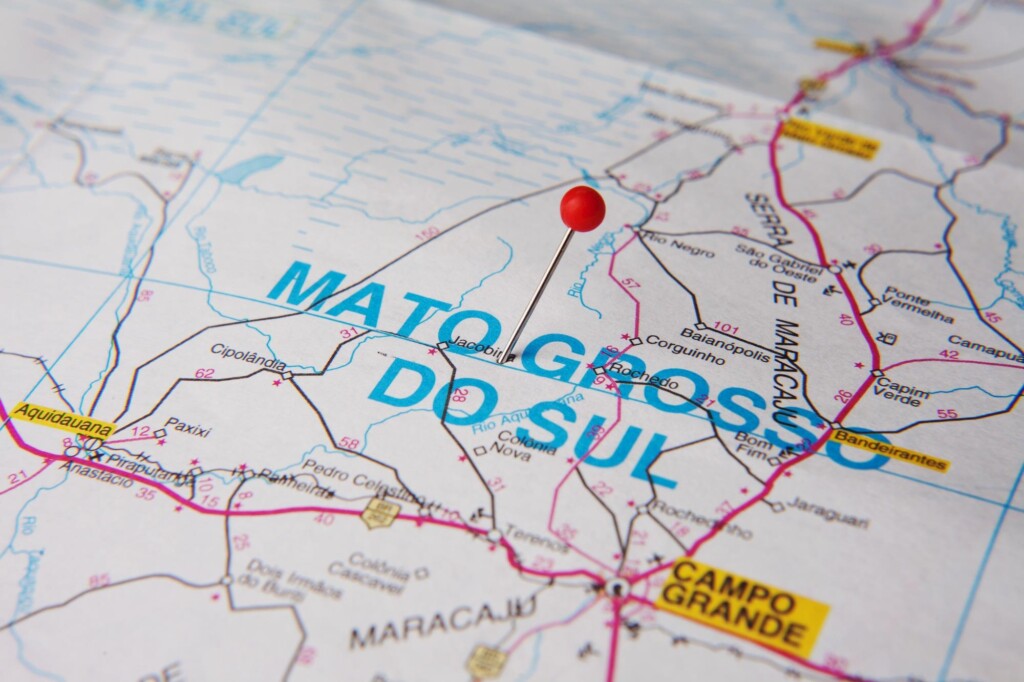 Exportações de carne suína do Mato Grosso do Sul crescem 1.548% em 2020