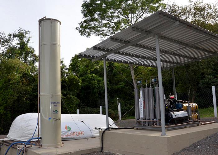 Filtro feito com bactérias purifica biogás para uso veicular