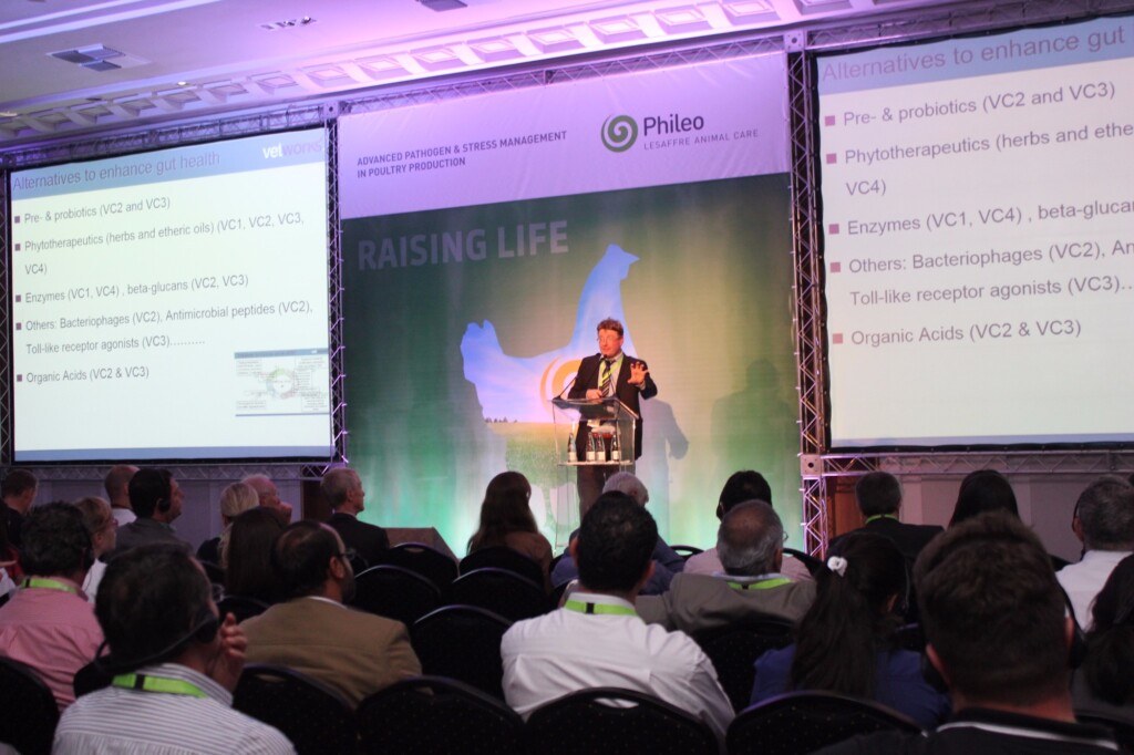 Produção avícola sem antibiótico é destaque em evento da Phileo