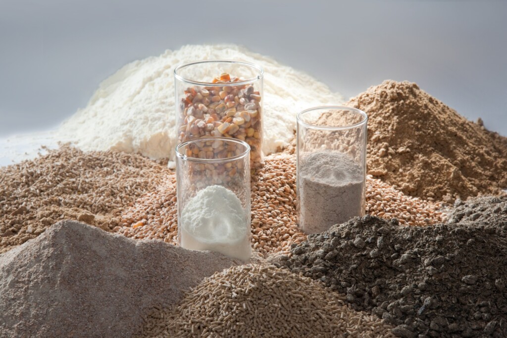 De 25 a 27 de abril, avicultura e suinocultura debatem estratégias nutricionais