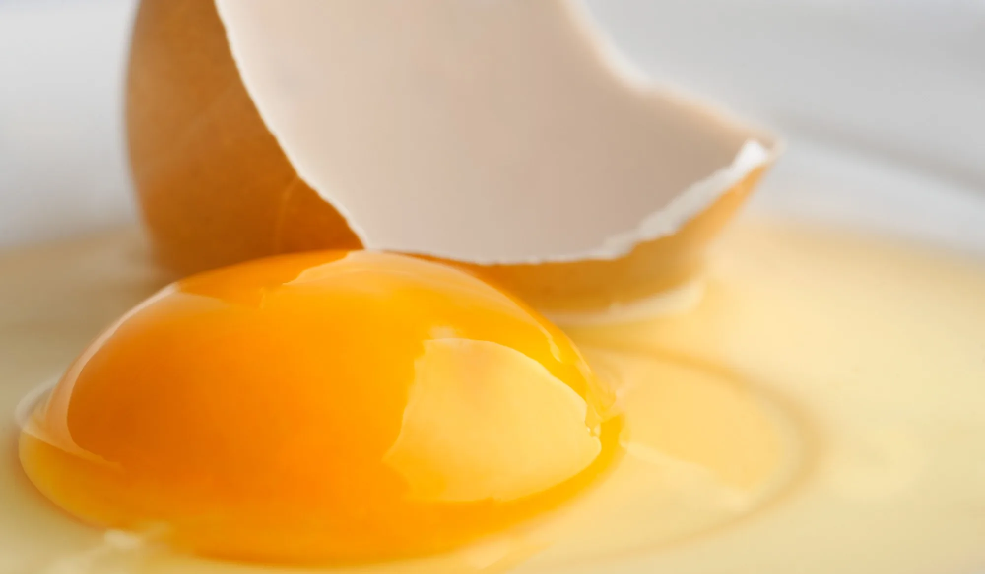 Ovos: mitos e verdades desse super alimento