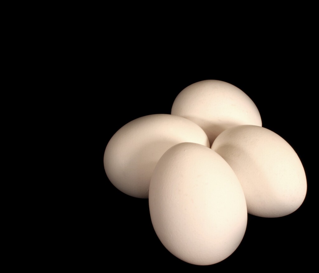 Nova York acusa produtores de ovos de aumento de preço na pandemia