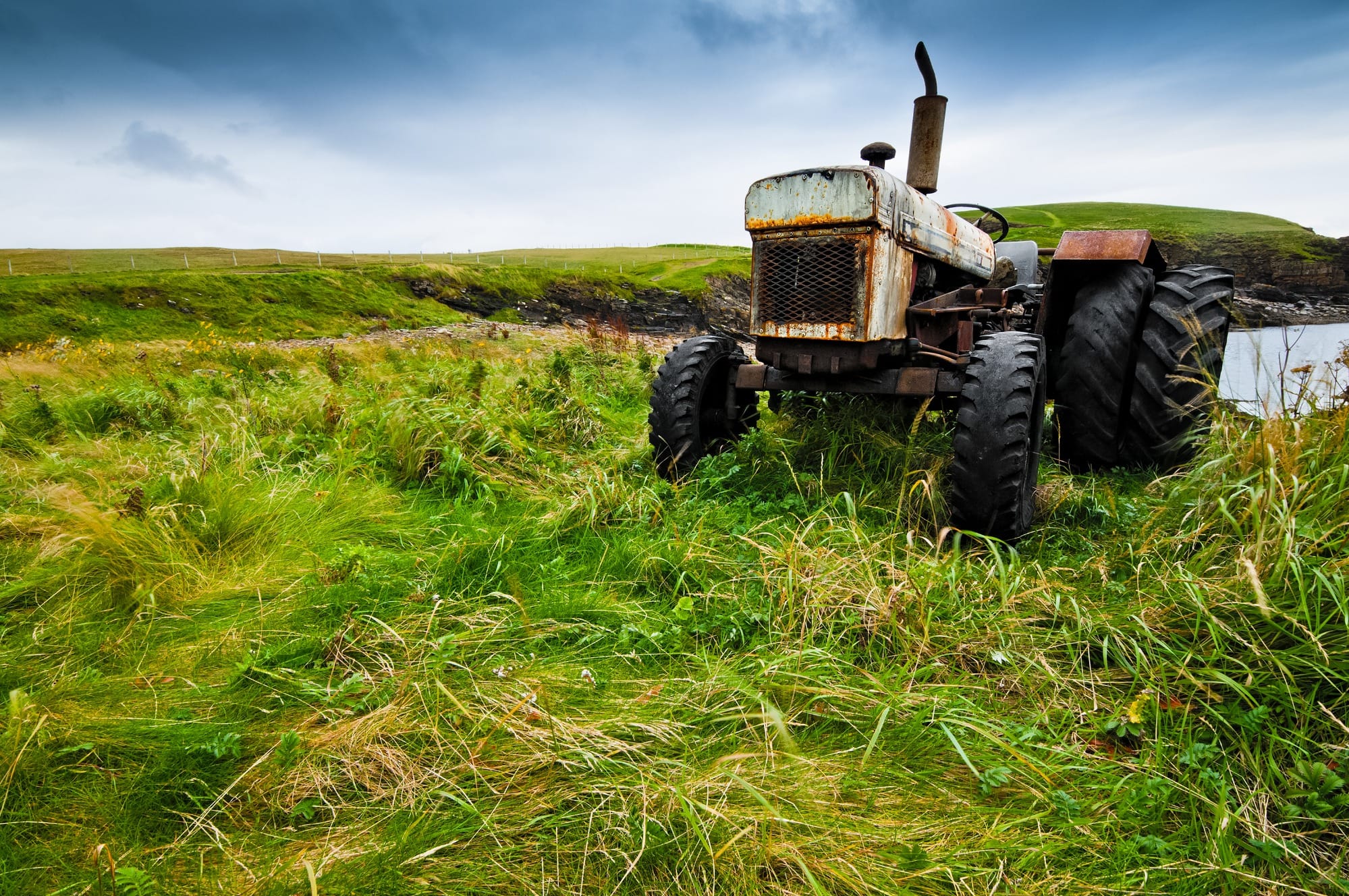Agricultura coroada de êxitos e de ciência