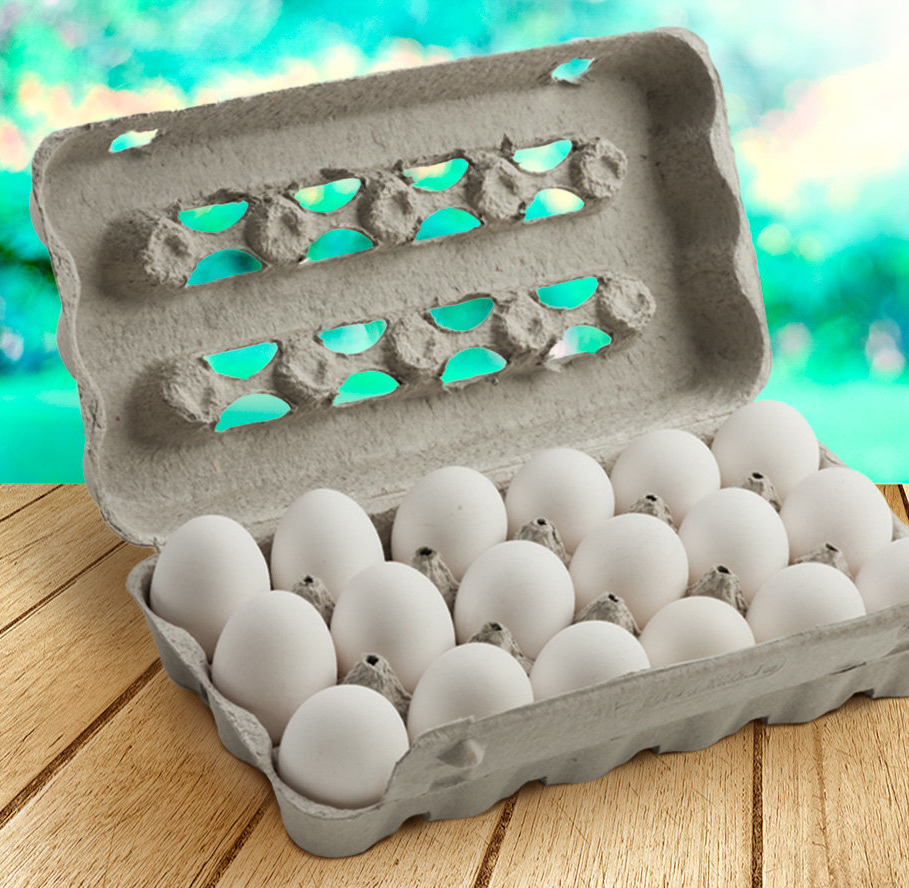 Com embalagem biodegradável, estojo para 18 ovos é lançado