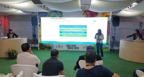 8º Fórum Mundial da Água debate uso sustentável do recurso na suinocultura