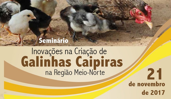 Produção de galinhas caipiras é tema de seminário