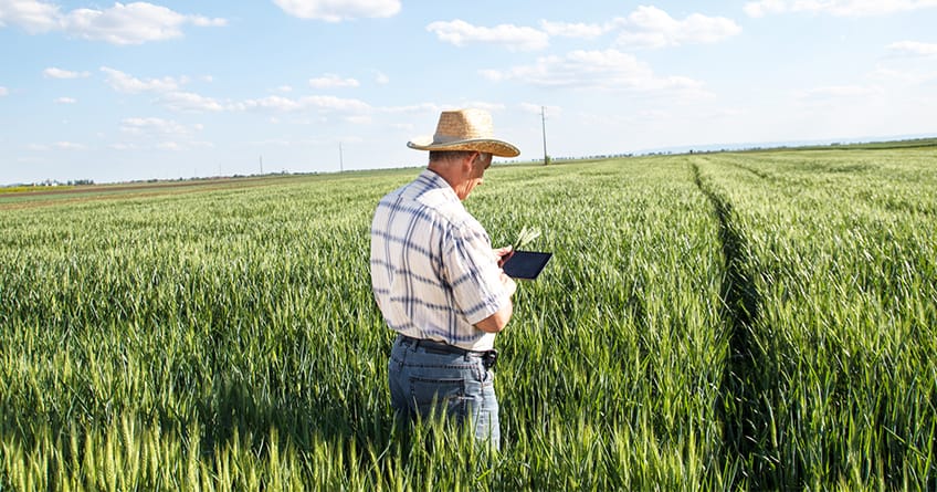 Planejamento no Agronegócio – por Valter Bampi