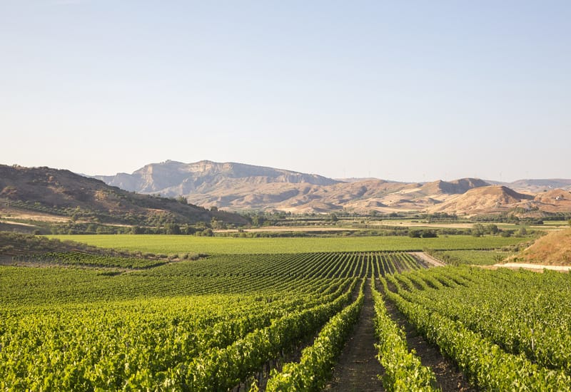 A primavera, o livro e o ex-ministro