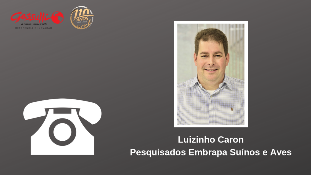 Saiba mais sobre a Peste Suína Africana e prevenção