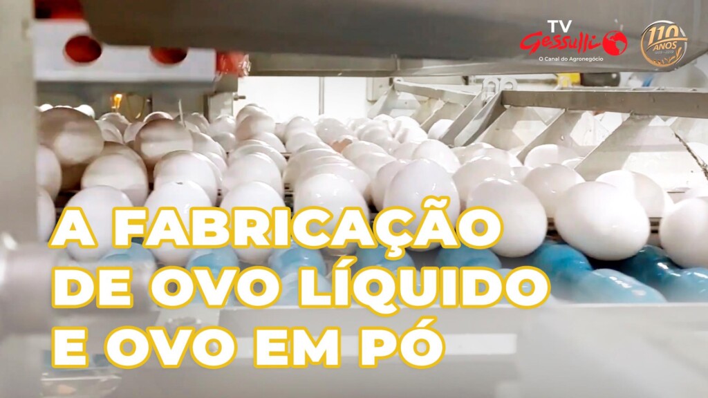 Ovo líquido e em pó: você sabe como é a fabricação?