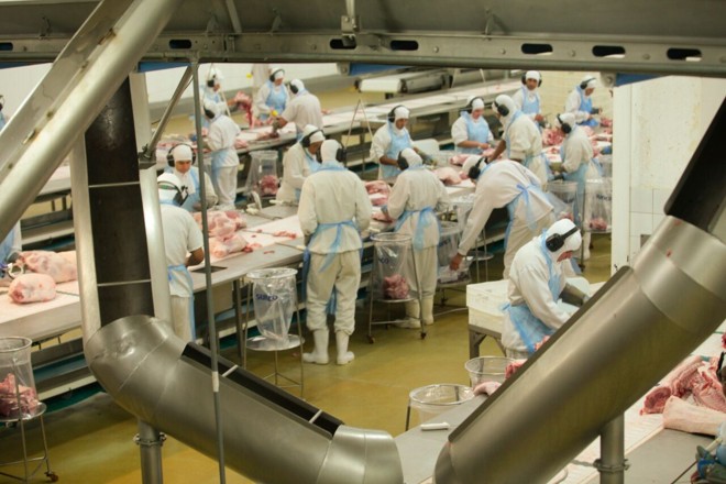 Estados brasileiros aplicam métodos diferentes para alcançar resultados em produção suína