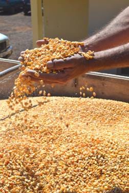 O futuro do emprego na indústria de beneficiamento