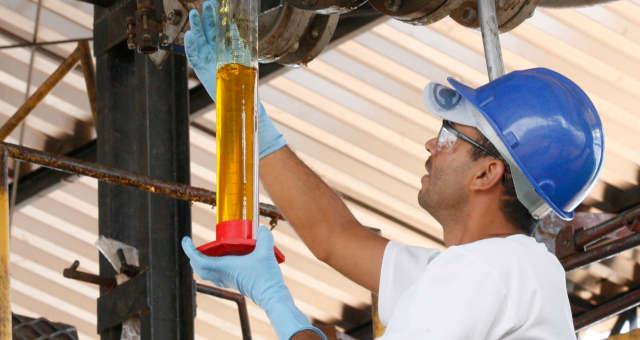 Brasil pode produzir 4 milhões de toneladas de farelo de soja a mais se mistura do biodiesel for retomada em 2023