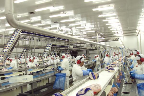 Alemanha irá investir 37 milhões de euros em fábrica de embutidos no Paraná