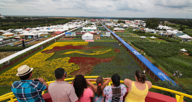 AveSui é destaque da Gessulli Agribusiness no Show Rural Coopavel