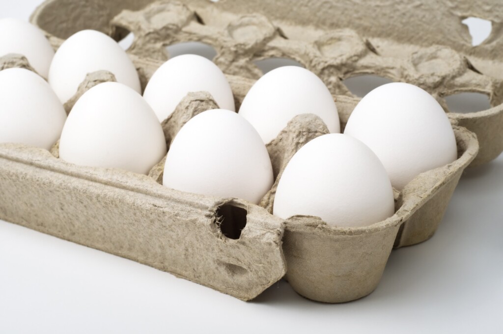 Poder de compra de avicultores reduz frente aos principais insumos