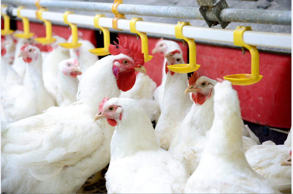 Setor comemora conquistas que garantem segurança no mercado