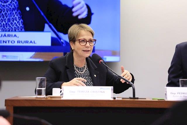 No RS ministra diz que prioridade da Agropecuária é o mercado interno