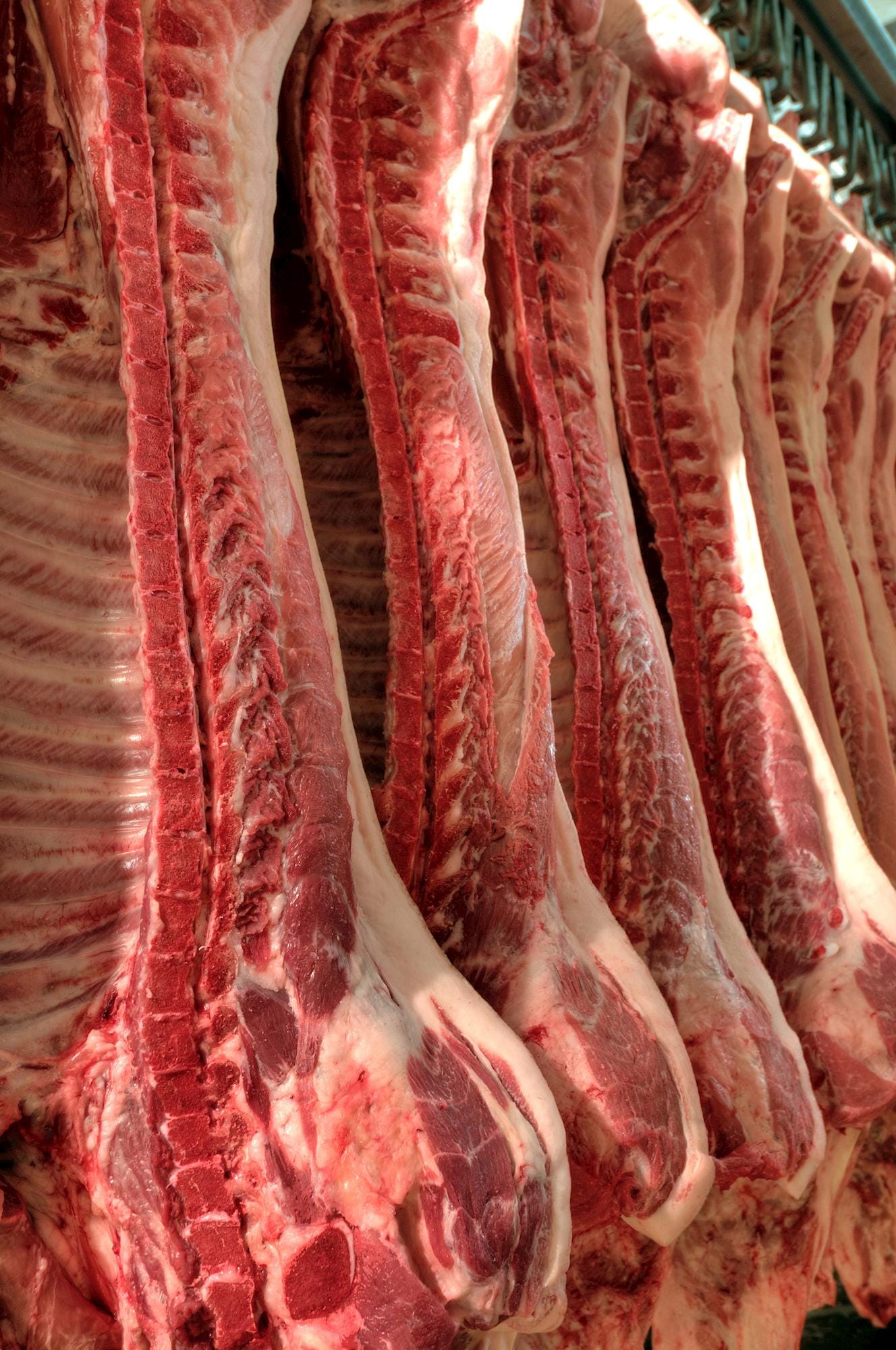 Mudanças em inspeção suína propostas pelo USDA geram críticas