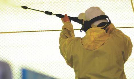 10 procedimentos básicos para o controle de Salmonella spp. em granjas de postura comercial