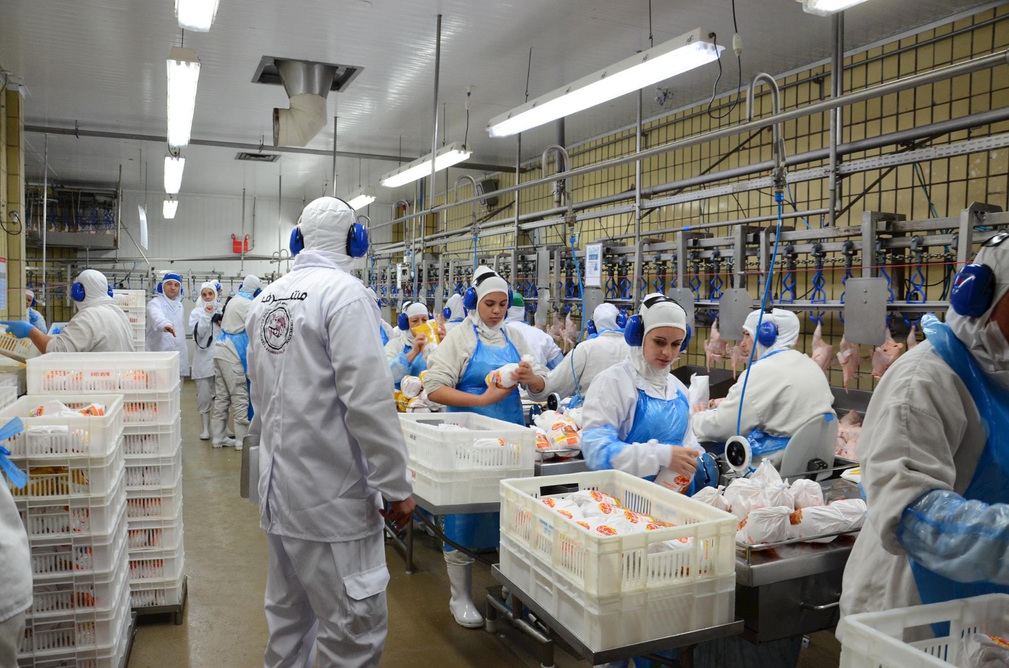Processadora saudita investe US$ 73,33 milhões em unidades de aves