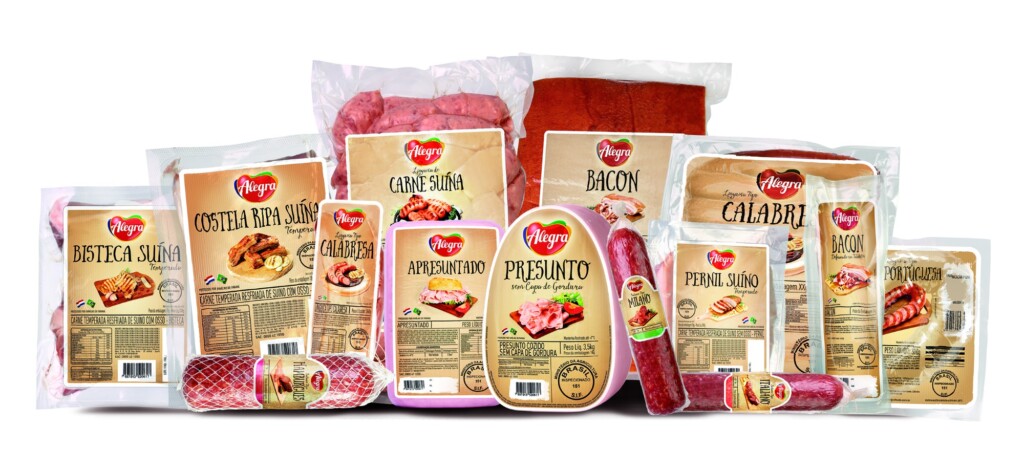 Alegra prevê chegar a R$ 1 bi até 2021