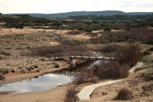 Crise hídrica prejudica o agronegócio mineiro