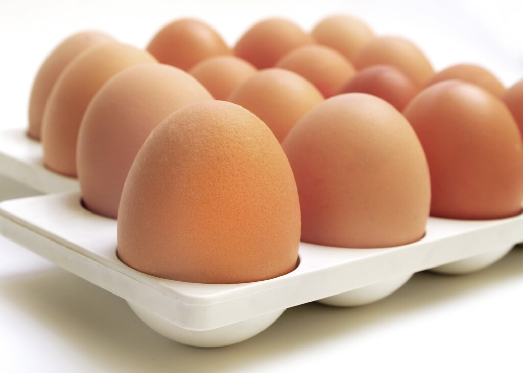 EUA recolhem mais de 200 mi de ovos por risco de contaminação com salmonela