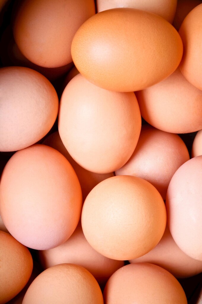 Após queda em 2017, setor de ovos aposta em recuperação das exportações em 2018