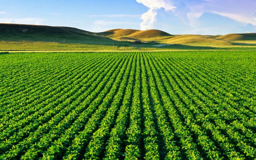 Avanço do PIB do agro durante o 1º semestre é de quase 10%